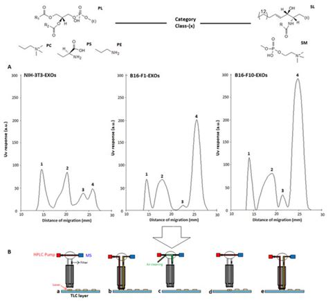 High-Performance Thin-Layer Chromatography-Densitometry-Tandem ESI-MS ...