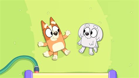 Bluey Episode In Space at Amy Dieter blog