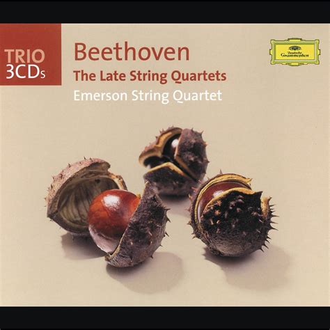 Image result for Late Beethoven String Quartets