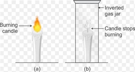 show that oxygen is a supporter of combustion - Brainly.in