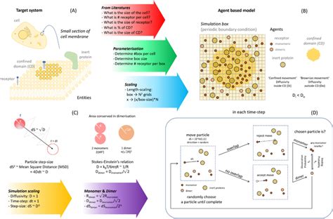 Image result for ABM Time Step Simulation