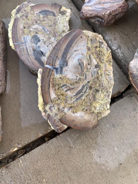 We went to Dugway geode beds Utah a few weeks ago for the first time ...