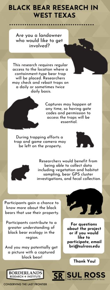 Image result for Bear Program
