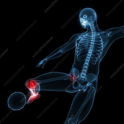 Football Foot 的图像结果