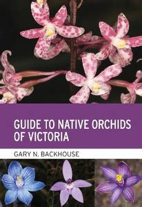 Guide to Native Orchids of Victoria: Buy Guide to Native Orchids of ...