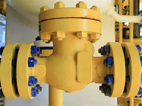 Image result for Double Check Valve