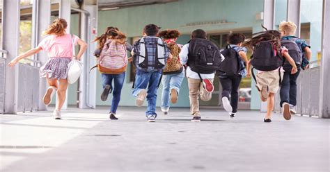 Top 10 Schools in Adyar, Chennai with Fee, Location and Facilities