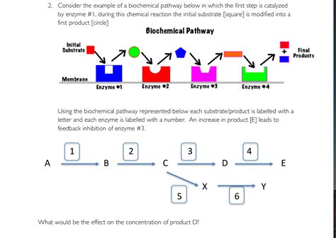 Biochemical Example 的图像结果
