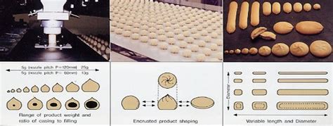 RHEON ENCRUSTING MACHINES-Multi Co-Extruder