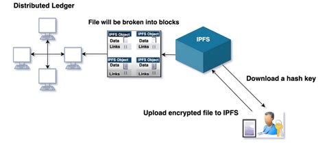 Interplanetary File System 的图像结果
