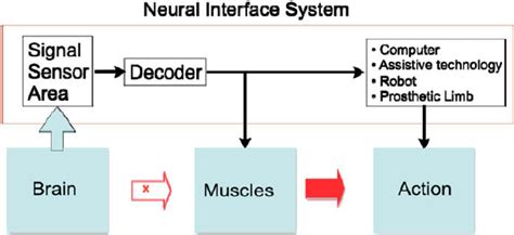 Neural Interface 的图像结果