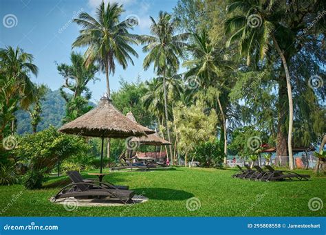 Bayview Or Bay View Park San Francisco 3 Stock Image | CartoonDealer ...