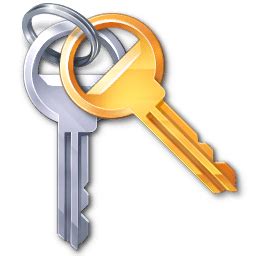 Image result for BitLocker Key Icon