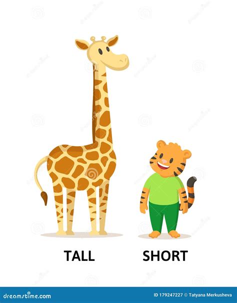 Cartoon Tall Short Kids Stock Illustrations – 64 Cartoon Tall Short ...