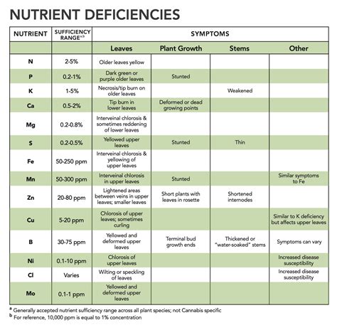 Understanding Plant Nutrition and Deficiency - RX Green Technologies