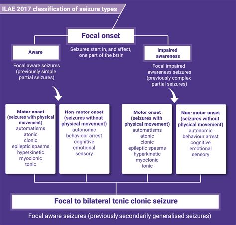 ILAE new seizure classification - what are the new seizure names? | Epilepsy Society