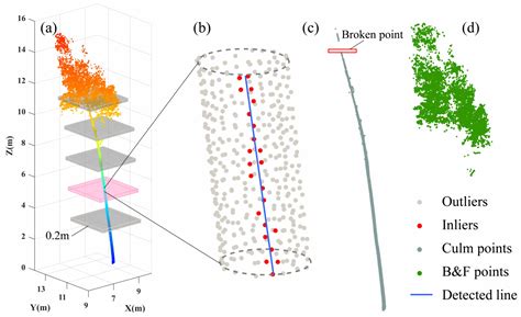 Refined Aboveground Biomass Estimation of Moso Bamboo Forest Using Culm ...