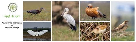 Environment Education Programme