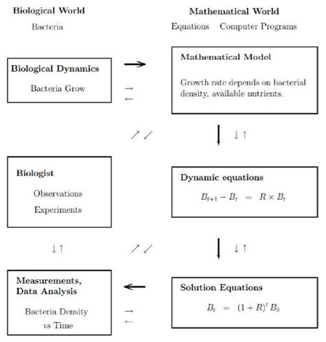 Image result for Bio Models