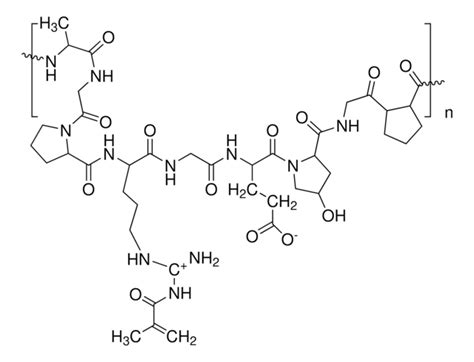Gelatin methacryloyl bloom 300, 80 degree of substitution GelMA