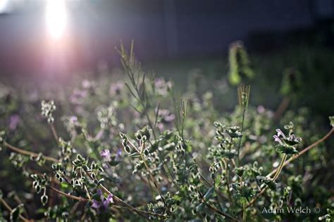 OnOne Perfect 8 1 Suite Tutorials 的图像结果