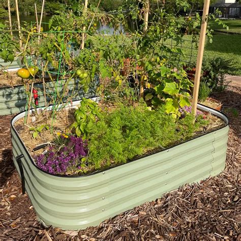 6.5x2 Modern Raised Garden Bed