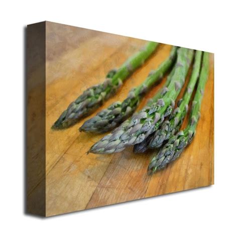 Trademark Fine Art Framed 35-in H x 47-in W Kitchen Print on Canvas in ...