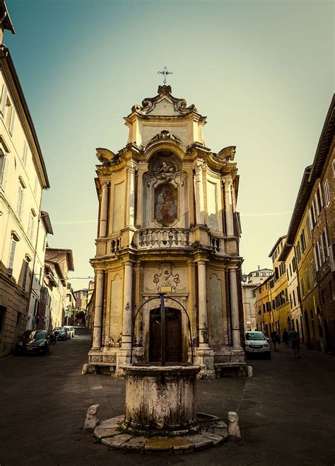 Image result for Python Siena