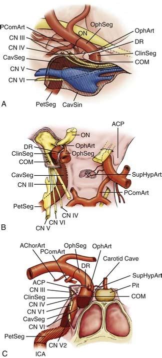 Image result for Harvard CS50 Computer Science Course