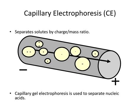 Image result for Separation Methods PowerPoint
