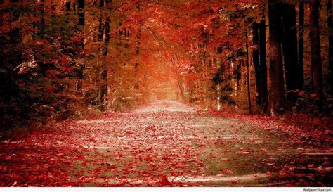 Image result for Fall Nature Desktop Backgrounds