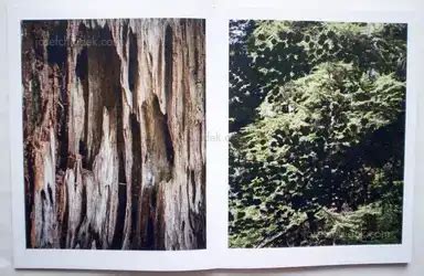 Vincent Buller - I arrived at Cape Disappointment, Self published, 2017 ...
