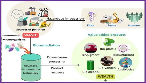 Department of Biotechnology - Research