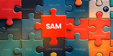 Image result for Software Asset Manegment Advert