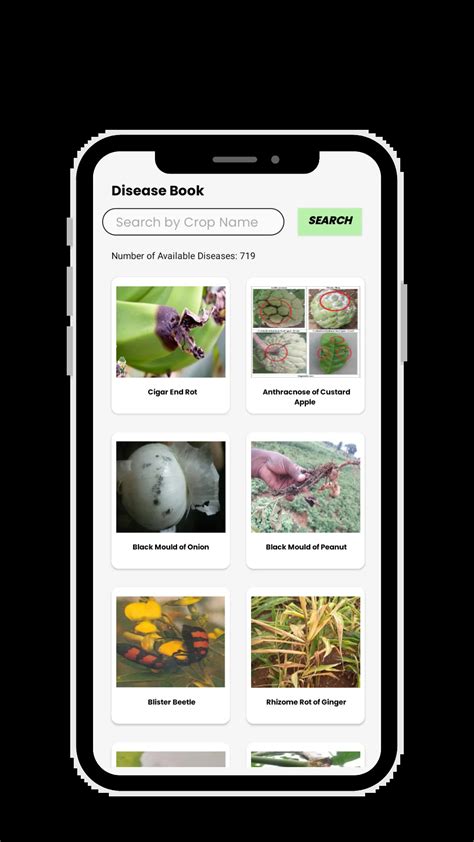 Smart Farming Solutions for Modern Agriculture | eCrop
