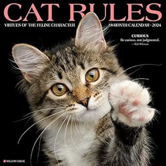 Buy Cat Rules 2024 Calendar Book Online at Low Prices in India | Cat ...