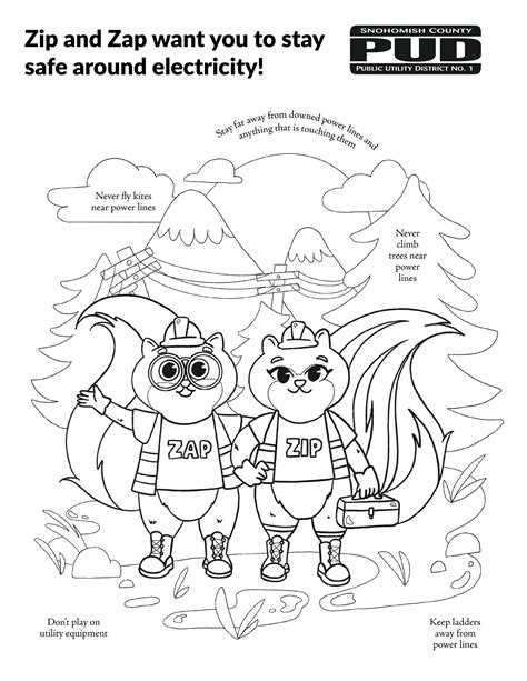 Zip & Zap Fun - Snohomish County PUD