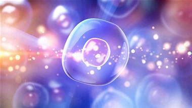 Image result for Cellular Memory Access