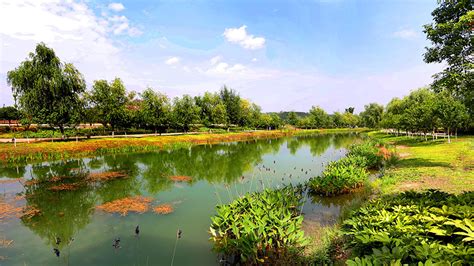 文旅集团_“美丽绵阳”绿色新坐标 小枧生态湿地公园主体完工