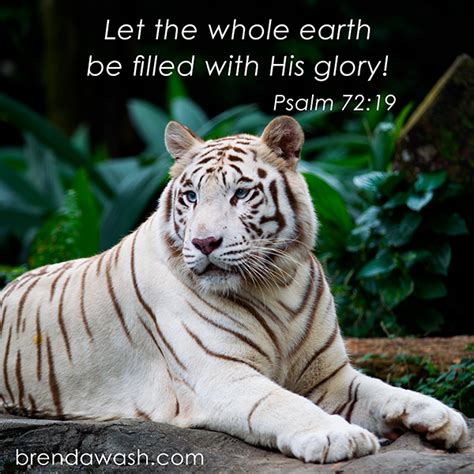 Praise His Name - Brenda Walsh Scripture Images