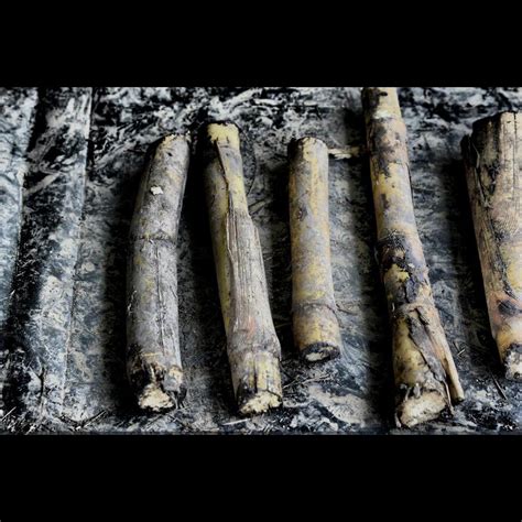 Machine Vision Image Extractor 的图像结果