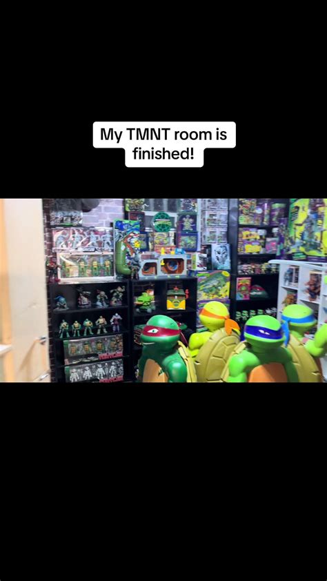 Image result for TMNT Collection Room