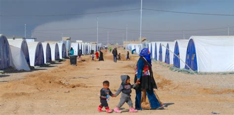 Mosul Tops IOM’s 2017 Funding Appeal for Iraq | IOM Iraq
