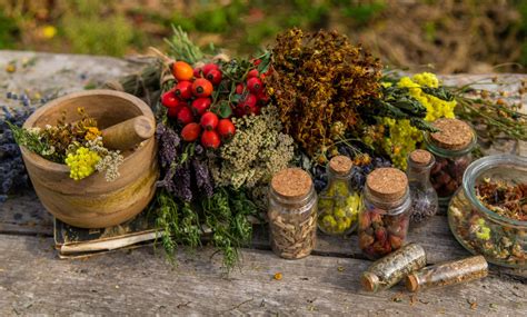 Top 9 Herbs To Supercharge Your Immune System Naturally