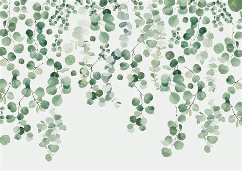 Eucalyptus Wall Wallpaper - Eucalyptus Wall Wallpaper Wallpaper | Blätter tapeten, Wandgemälde ...