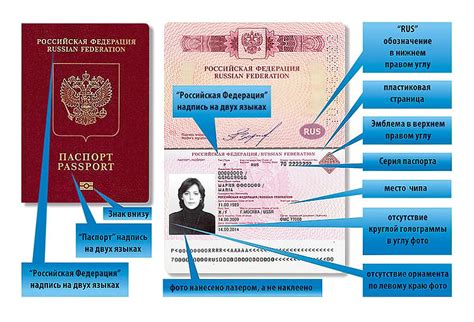 Биометрический паспорт РФ в 2025 году: как выглядит