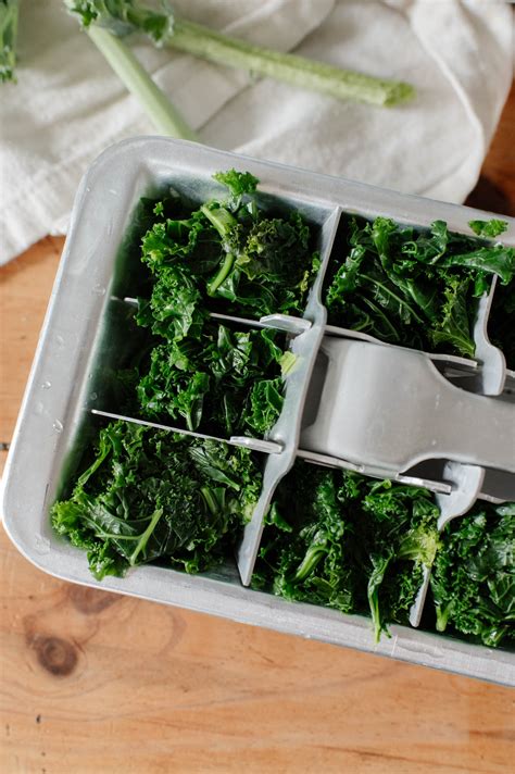 How to Freeze Kale From Your Garden - The Rooted Farmhouse