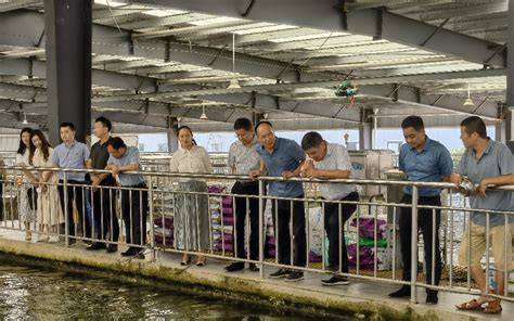 荆州区：打造农村家宴中心 让“流水席”走向规范化- 荆州区人民政府网