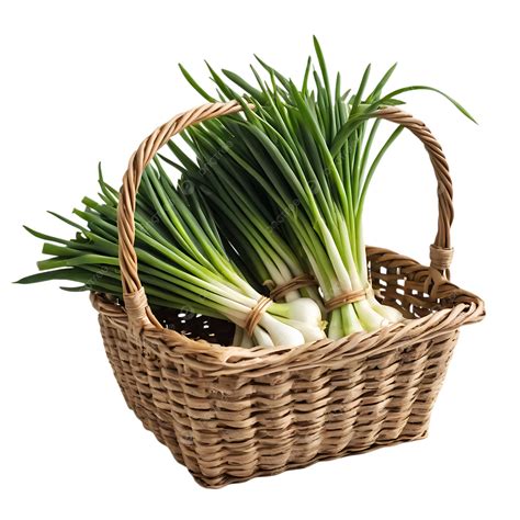 Farm Fresh Green Onions Showcase, Fresh Spring Onions, Organic ...