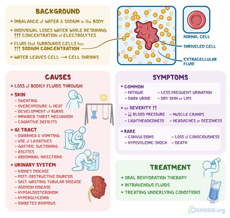 Best Type Of Iv Fluid For Dehydration at William Rohde blog